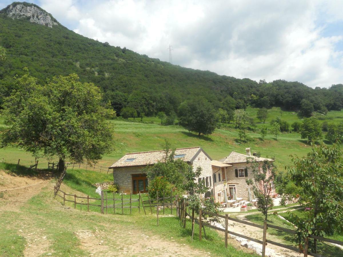 Agriturismo Lusani كابرينو فيرونيسي المظهر الخارجي الصورة
